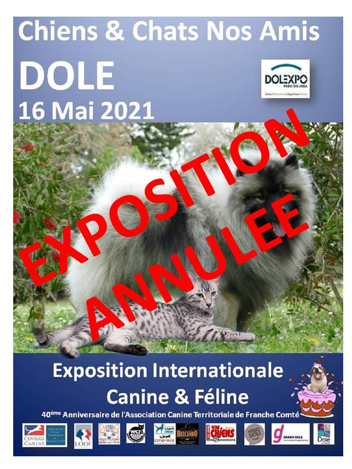 Expositions Expositions Canines Engagement En Ligne calendrier des expositions canines 2021