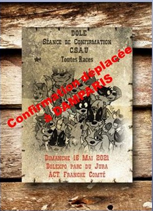 Calendrier Csau 2023 Expositions - Expositions Canines - Engagement En Ligne