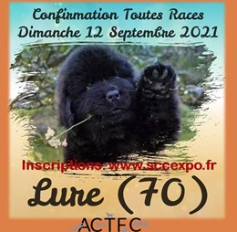 Expositions Expositions Canines Engagement En Ligne calendrier des expositions canines 2021